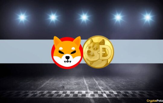 Surging 18% Flippening Back Shiba Inu as Top 9