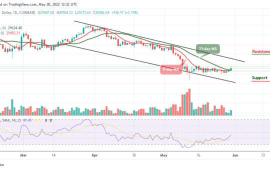 Bitcoin Price Prediction