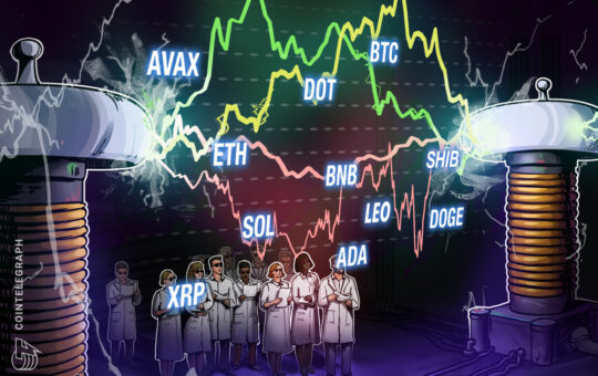 BTC, ETH, BNB, XRP, ADA, SOL, DOGE, DOT, LEO, SHIB