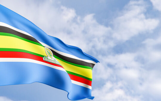 East African Single Currency Unlikely to Be Introduced by 2024 – Emerging Markets Bitcoin News
