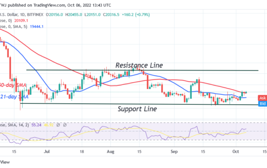Bitcoin Price Prediction for Today October 6: BTC Price Unstable above $20K Support