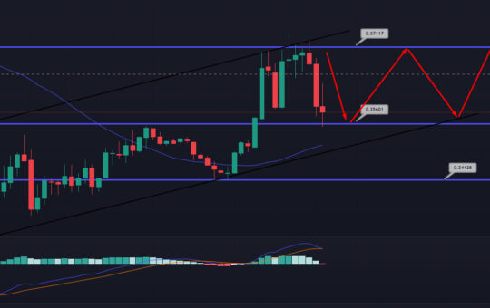 XRP Price Prediction as Republic of Palau Works with Ripple to Launch National Stablecoin – XRP to the Moon?