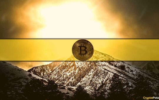 Bitcoin One of the Best Performing Assets in 2023: Bloomberg Intelligence