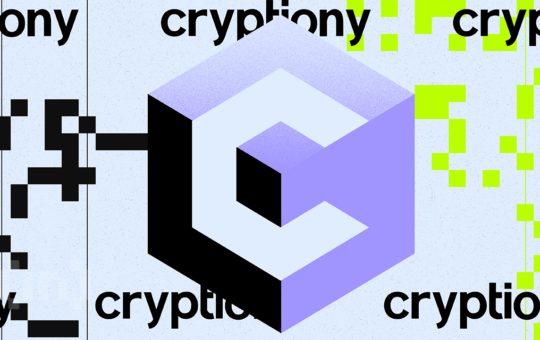 Navigating Crypto Taxes Made Easy &amp; Cheap: Meet Cryptiony