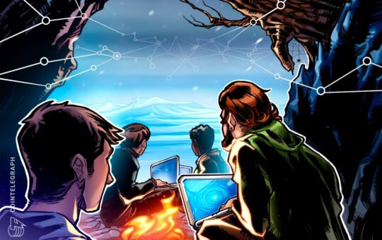 Number of devs increased during crypto winter: Electric Capital report