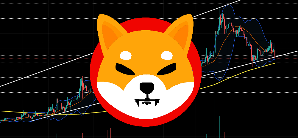 As Shiba Inu Price Explodes, These Hidden Gems Might 10x