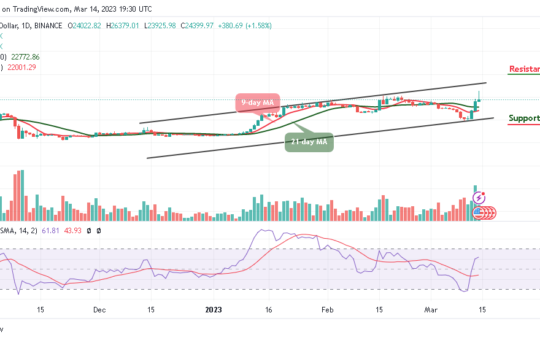 Bitcoin Price Prediction for Today, March 14: BTC/USD Retreats After Trading Above $26k