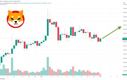 Shiba Inu Price Prediction as $200 Million Trading Volume Comes In – Here's the Next SHIB Price Target