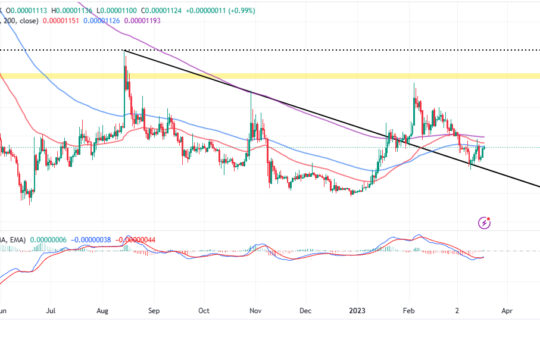 Shiba Inu Price Prediction as SHIB Blasts Up 15% From Recent Bottom &ndash; New Bull Market Starting?