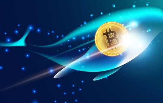 Sleeping Bitcoin Wallet Awakens: $3.7M Worth of BTC Suddenly Moves After Close to 12 Years of Dormancy