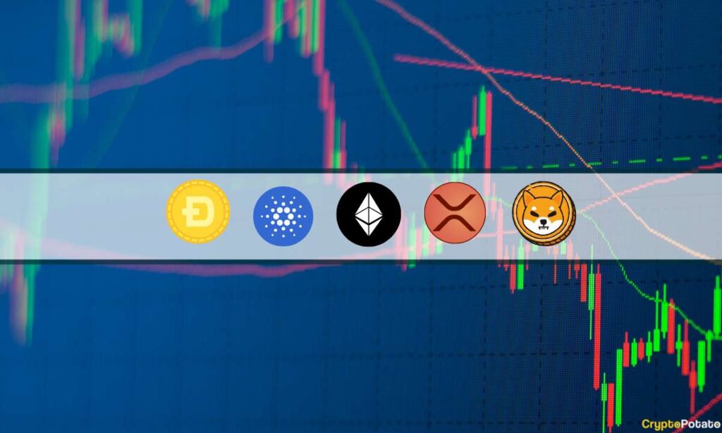 ETH, XRP, ADA, DOGE, and SHIB