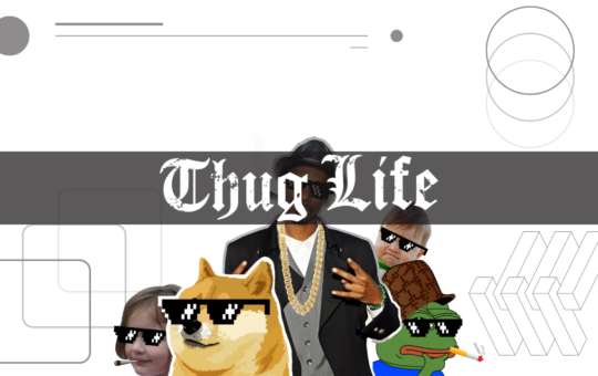 Thug Life Meme Coin Presale Launches, Raises $100,000 on Day One