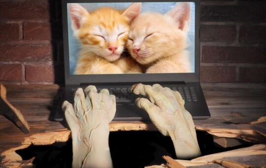 'If I Die, Delete My Browser History'—OperaGX Makes Good on the Meme