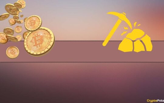 Someone Paid $500K in For a $2,000 BTC Transaction