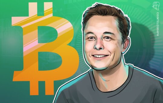 Elon Musk slams NFTs but ends up arguing the case for Bitcoin Ordinals