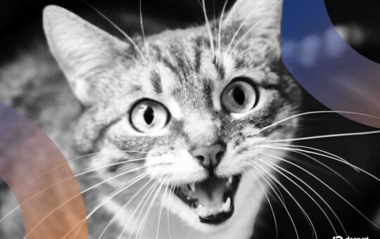 Can AI Crack the Cat Code? Baidu Thinks So