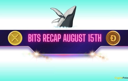 XRP and DOGE Whales Make Big Moves, BNB Set New Record: Bits Recap August 15th