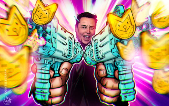 Elon Musk Sends Floki Memecoin Soaring 29%