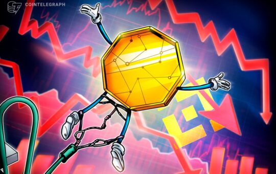 Why Did Some Altcoins on Binance Crash to Zero?