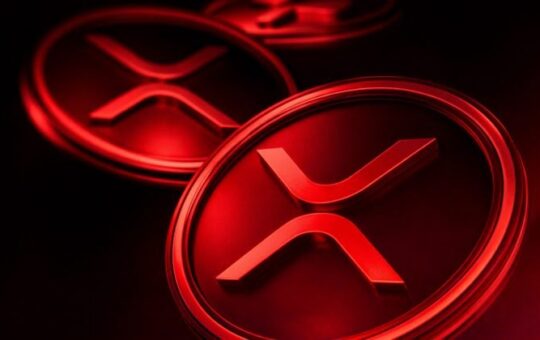 XRP ETFs post first day of outflows since November launch