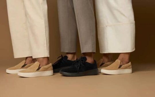 Allbirds stock moons 800% as it swaps sneakers for AI cloud